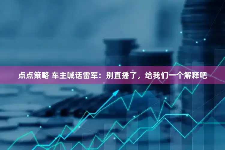 点点策略 车主喊话雷军：别直播了，给我们一个解释吧
