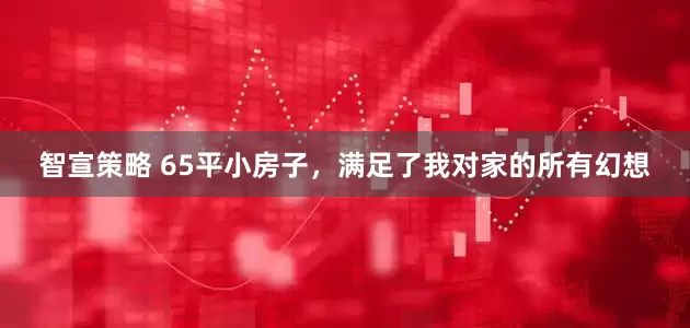 智宣策略 65平小房子,满足了我对家的所有幻想